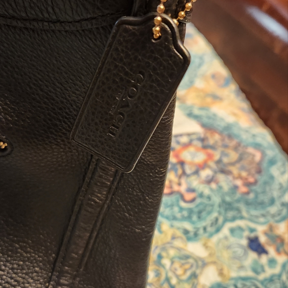 Coach Bag and Wallet